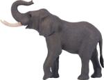 Mojo afrikai elefánt (DDMJ381005)