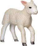 Mojo A Lamb romney fut (DDMJ381066)