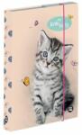 Oxybag Kitty cicás füzetbox - A4 - OXY BAG (IMO-KPP-3-74023)