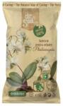 Dr. Soil Substrat Orhidee Phalaenopsis Dr. Soil, 1 Litru