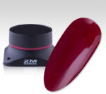 2M Beauty Gel Color 2M fara fixare Nr. 41