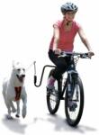 SPRINGER kutya edzőkészlet kerékpárhoz (428413)