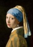 Enjoy 1164 - Johannes Vermeer: Girl with a Pearl Earring - 1000 db-os puzzle (1164)
