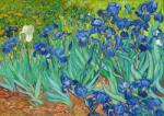 Enjoy 1185 - Vincent Van Gogh: Irises - 1000 db-os puzzle (1185)