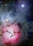 Enjoy 1479 - The Trifid Nebula - 1000 db-os puzzle (1479)