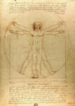 Enjoy 1557 - The Vitruvian Man - 1000 db-os puzzle (1557)
