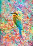 Enjoy 2178 - Happy Bird - 1000 db-os puzzle (2178)