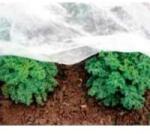  Fátyolfólia 3, 20x5m, fehér, 17g/m2 (20200) (505)