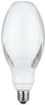 V-TAC bec cu led 1x36 W 6500 K E27 21285 (21285)