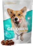  Contipro Geloren Small Dog 180g - Kiegészítő keverék, zselé kutyáknak az ízületekre
