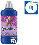 Coccolino öblítő 1, 275L (6db/karton) purple orchid&blueberries (8720181409714)