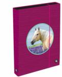 Oxybag Lovas füzetbox A4 - rózsaszín - OXY BAG (IMO-KPP-9-97624) - mindenkiaruhaza