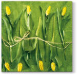 PAW - Törlőkendő L 33x33cm Fresh Tulips