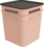 rotho Brisen Pink Műanyag Tároló Doboz Tetővel Szett 2x18 L - Rózsaszín (1038902089)