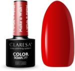 Claresa Oja Semipermanenta Claresa Make a wish 1