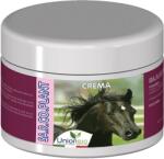  SA. R. CO. PLANT - Bőrregeneráló krém szarkoidra