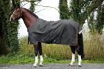 Horseware Ireland Amigo Bravo 12 Turnout Lite, Shadow/ Navy & Rose - 155 cm