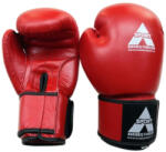 Anastasia Sport Manusi box lupta Anastasia, piele naturala, rosii, marime 14 OZ (MBrosu14)