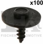 FA1 Surub FA1 10-70005.100 (10-70005.100)