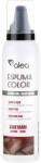 Azalea Cosmetics Spumă colorată pentru păr - Azalea Espuma Color Plata