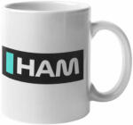  HAM Lewis Hamilton