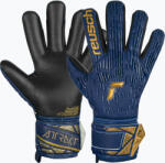 Reusch Mănuși de portar Reusch Attrakt Freegel Silver premium blue/gold/black