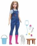 Mattel Barbie: 65. évfordulós karrier játékszett - Állatorvos (HRG42) - jatekbolt