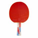 inSPORTline Paleta Tenis de Masa inSPORTline Shootfair S7 (21559)