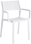 Nardi Fehér műanyag kerti szék Trill karfával (40250.00.000)