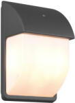TRIO 212160242 Mersey kültéri fali lámpa (212160242) - lampaorias