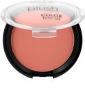 Quiz Cosmetics Blush compact QUIZ Color Focus 12g