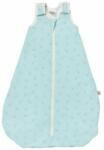 Ergobaby Sac de dormit din bumbac, on the move, Aegean Fish, 6-18 LUNI, 2.5 TOG (SLBMDAGNFSH25) - babyneeds