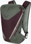 DYNAFIT Раница за туризъм DYNAFIT Traverse 22 l sage/burgundy