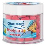 Cralusso Wafters CRALUSSO Ready to Go Mango 9x11mm, 40g (98042770)