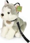 Rappa Câine husky de pluș așezat cu lesă 28 cm ECO-FRIENDLY (RP231078)