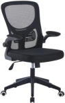 Timeless Tools Scaun de birou ergonomic cu cotiera rabatabila, negru (HOP1001660-1)