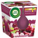 Air Wick Essential Oils Mountain Berry Blossom gyertya 105g