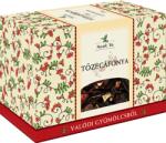 Mecsek Tea Ceai de fructe în vrac de afine (100g)
