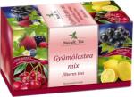 Mecsek Tea Mix de ceaiuri de fructe (20buc)