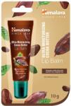 Himalaya Balsam de buze cu unt de cacao (10g)