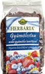 Herbária Ceai de fructe amestec de pădure (120g)