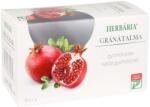 Herbária Ceai de fructe cu aromă de rodie (20buc)
