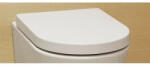 AREZZO design design INDIANA Soft Close lecsapódásgátlós WC tető AR-ISCBR