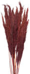 Clayre & Eef Buchet flori rosii uscate 100 cm (5DF0032)