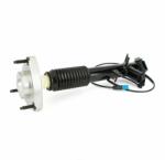 Arnott amortizor Arnott SK-3817 (SK-3817) - automobilus