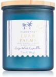 Paddywax Coastal Lush Palms lumânare parfumată 198 g