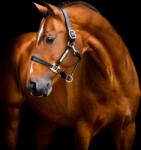 Horseware Ireland Signature bőr kötőfék, "Black" - Full