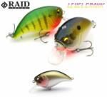 Raid Japan Level Crank 51mm 10, 5g 022 Bait Japan wobbler (RAID19170)
