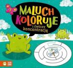 Zielona Sowa Culori pentru copii mici și exerciții de concentrare (491420)