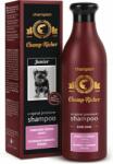 Dermapharm Sampon pentru caini, Champ Richer, Yorkshire Terrier, Puppy, 250 ml (91410)